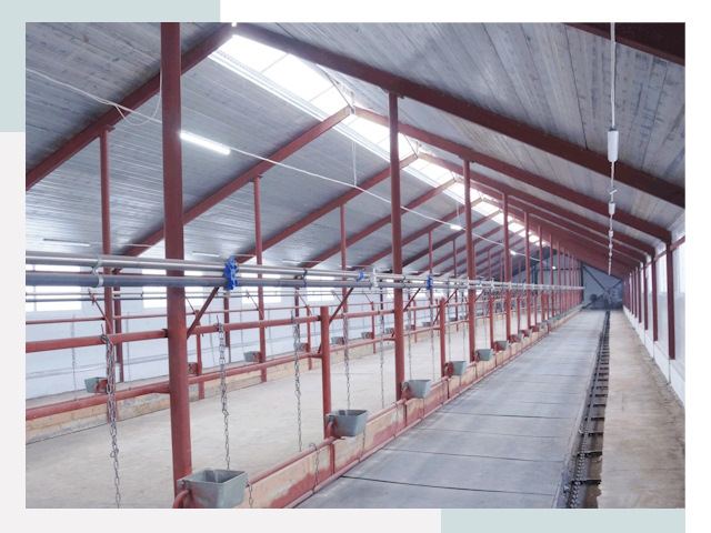 Строительство коровников в Верхнем Уфалее от 614 руб.